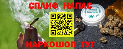 jwh Кингисепп