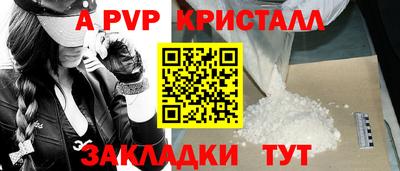 jwh Кингисепп