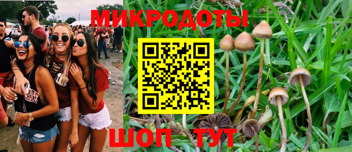 Коркино  Псилоцибиновые грибы MAGIC MUSHROOMS  Вход с VPN  что такое наркотик  Галлюциногенные грибы Psilocybine cubensis 